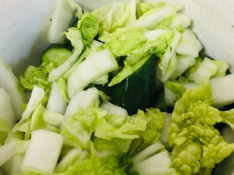 白菜ときゅうりの塩もみサラダ